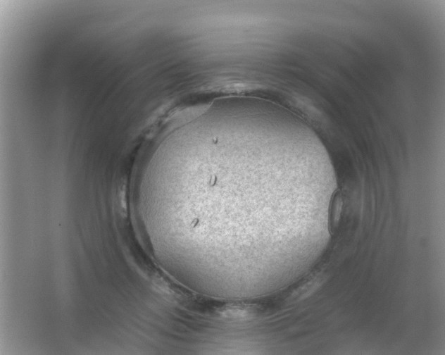 X0000066940358200604071918