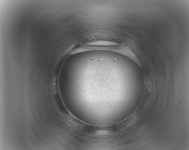 X0000066940360200604071918