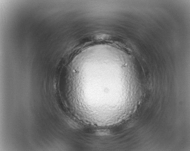 X0000066940363200604071918