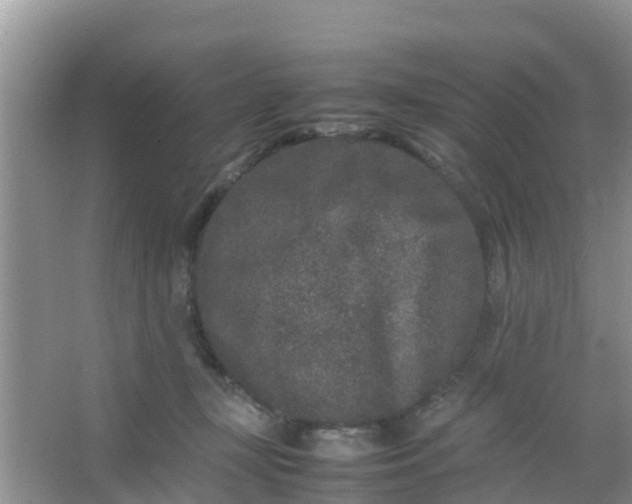 X0000066940367200604071918