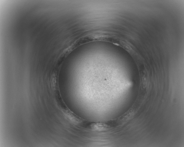 X0000066940372200604071918