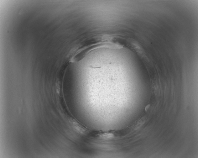 X0000066940374200604071918