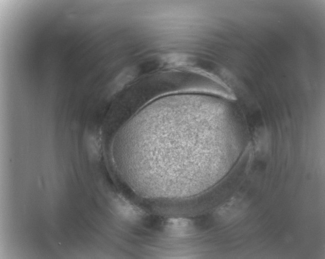 X0000066940376200604071918