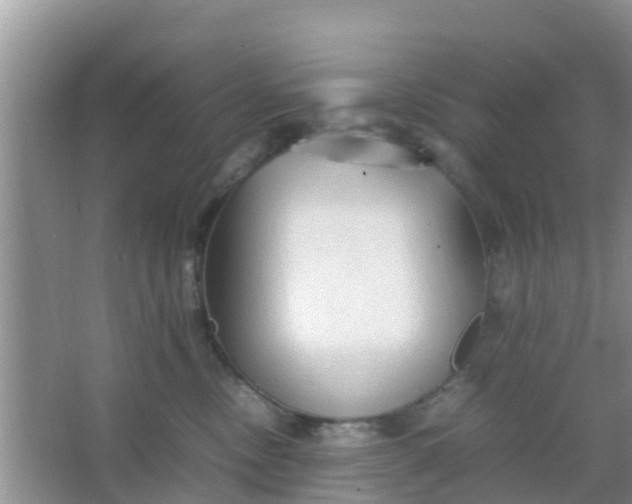 X0000066940378200604071919