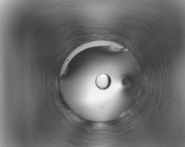 X0000066940380200604071919