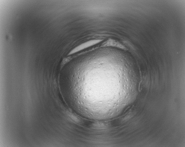 X0000066940381200604071919