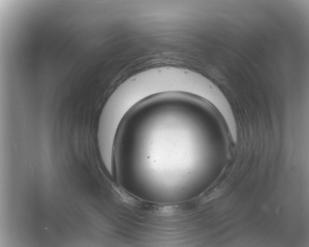 X0000066940382200604071919