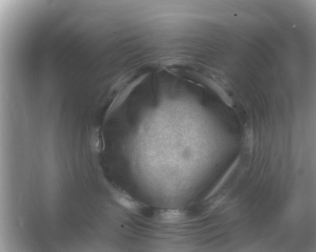 X0000066940383200604071919