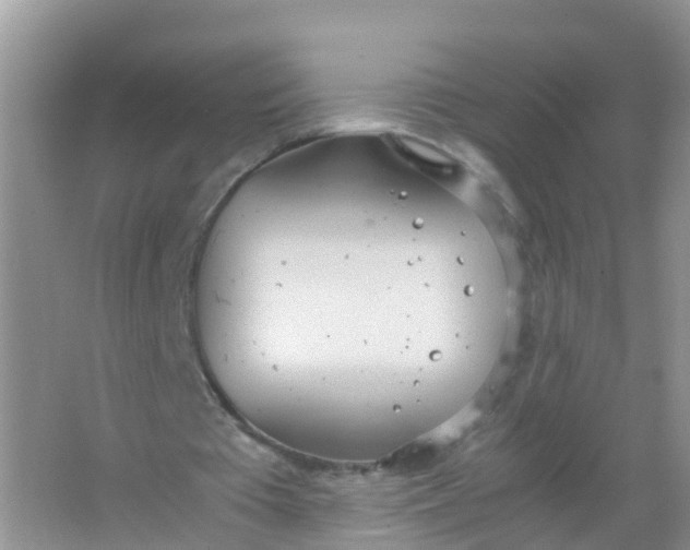 X0000066940385200604071918