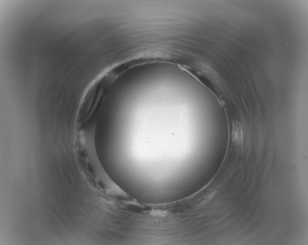 X0000066940388200604071918