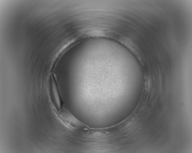 X0000066940390200604071918