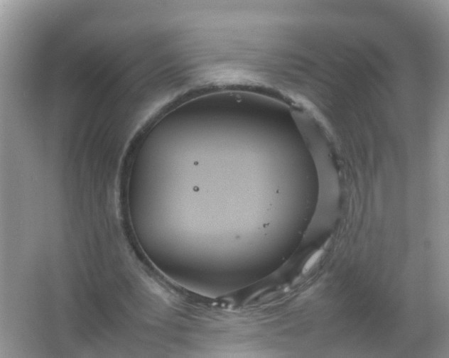 X0000066940391200604071918