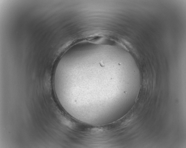 X0000066940394200604071918