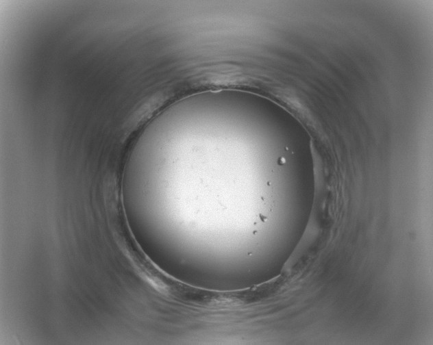 X0000066940397200604071918