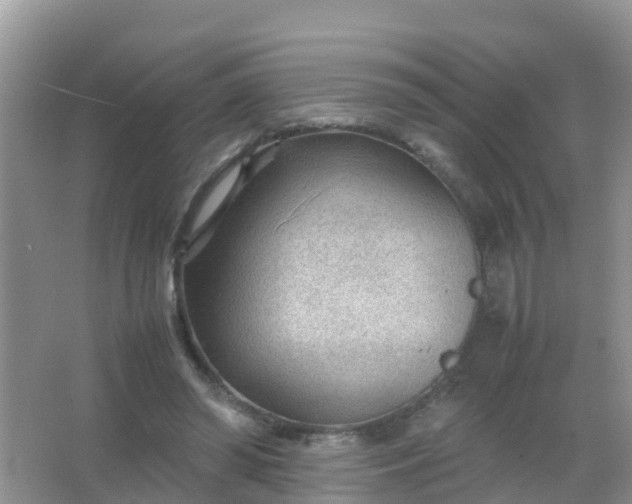 X0000066940398200604071918