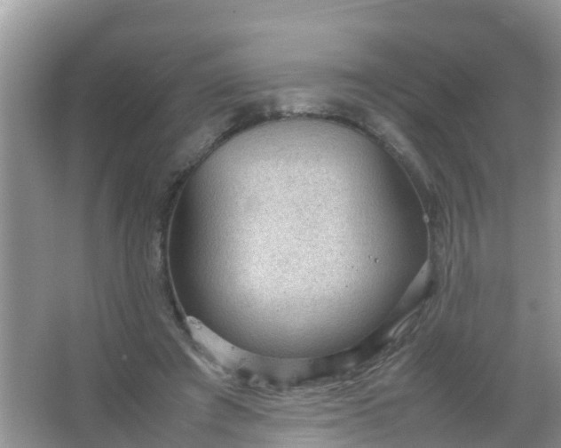 X0000066940401200604071918