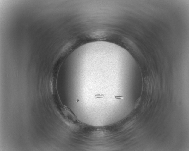 X0000066940404200604071917