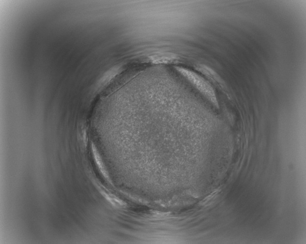 X0000066940405200604071917