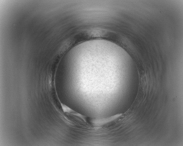 X0000066940406200604071917