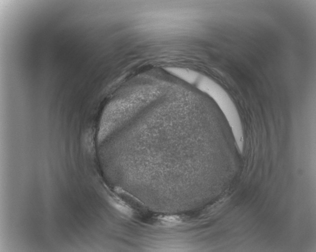 X0000066940409200604071917