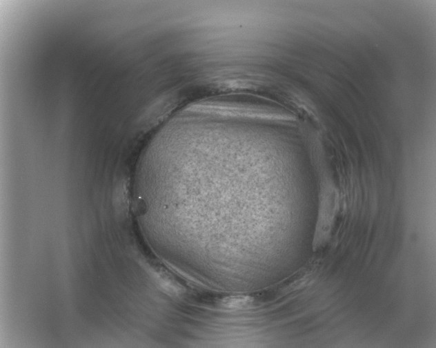 X0000066940410200604071917