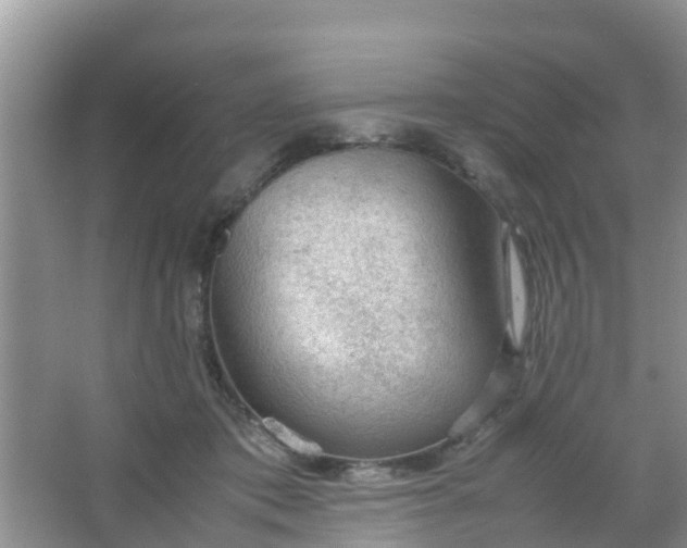 X0000066940413200604071917