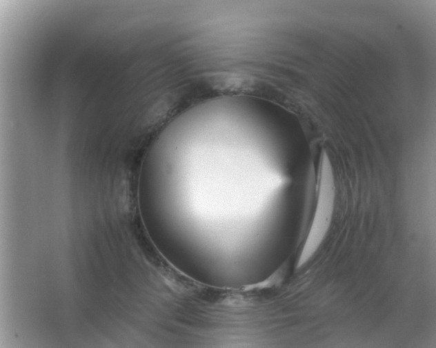 X0000066940416200604071917