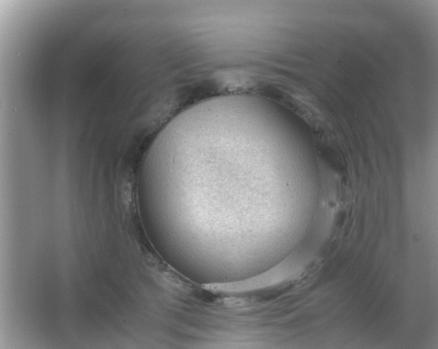 X0000066940417200604071917