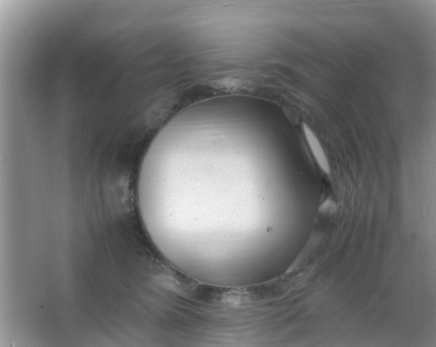 X0000066940420200604071917