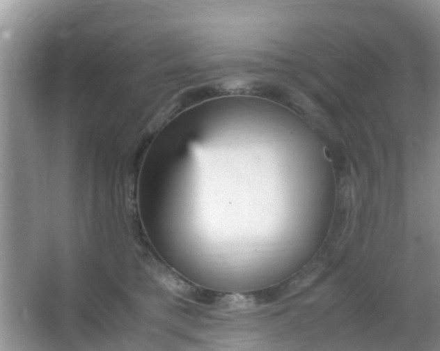 X0000066940421200604071917