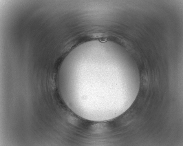 X0000066940422200604071917