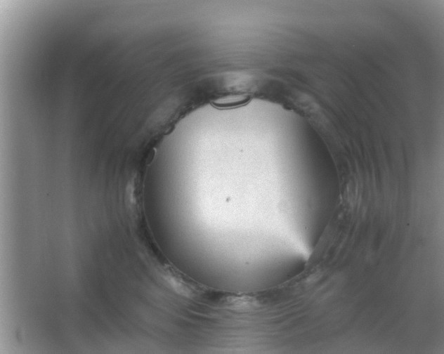 X0000066940424200604071917