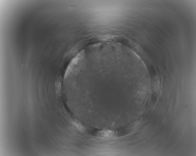 X0000066940427200604071917