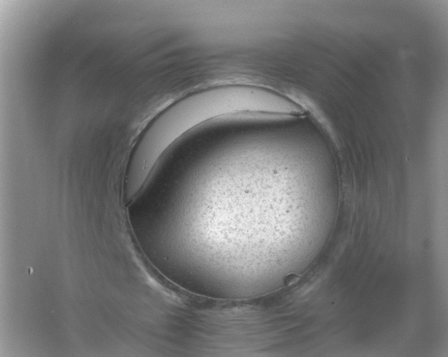 X0000066940433200604071916