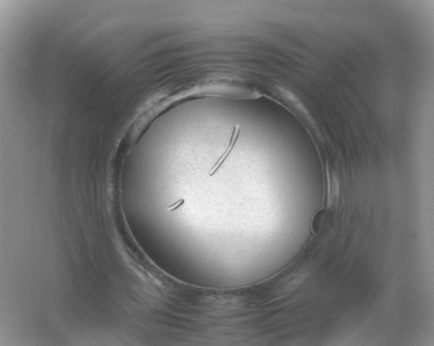 X0000066940435200604071916