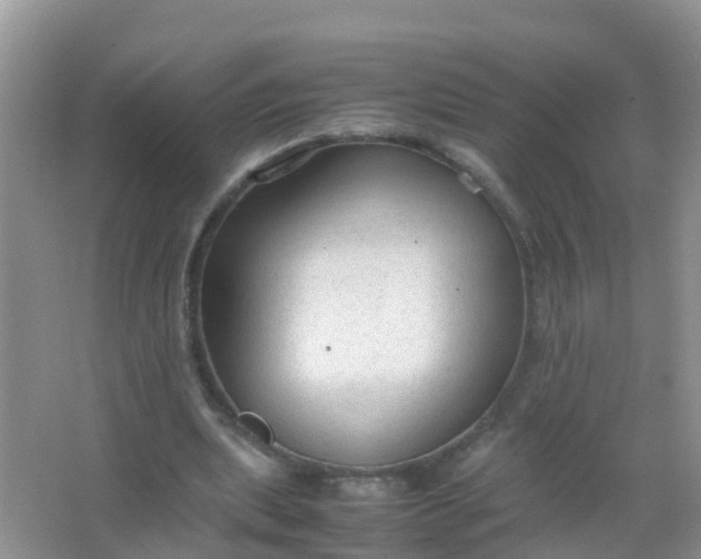 X0000066940439200604071916