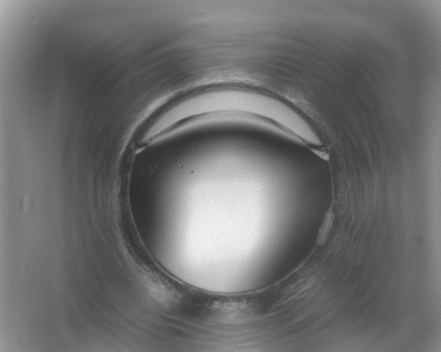 X0000066940440200604071916