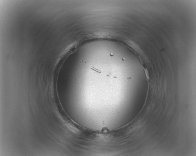 X0000066940442200604071916