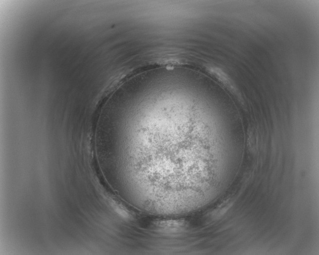 X0000066940449200604071916