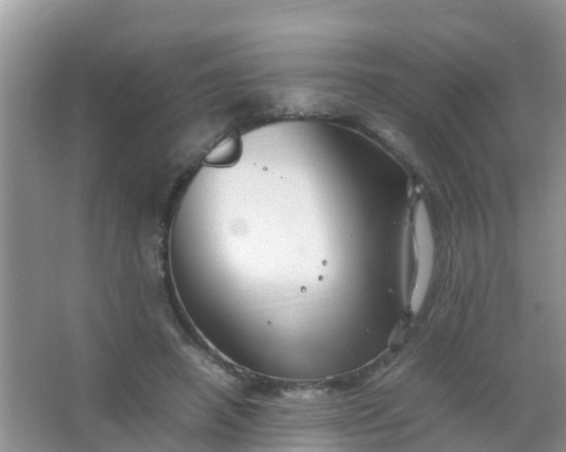 X0000066940450200604071916