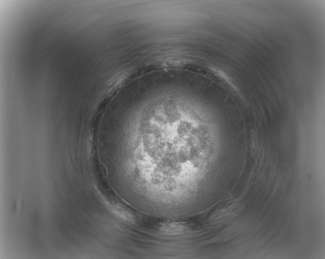 X0000066940451200604071916