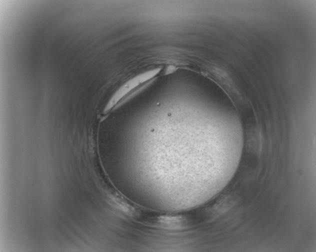 X0000066940457200604071917