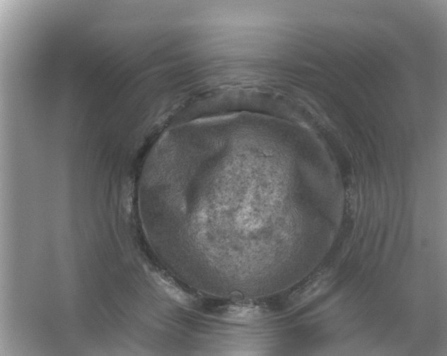 X0000066940458200604071917