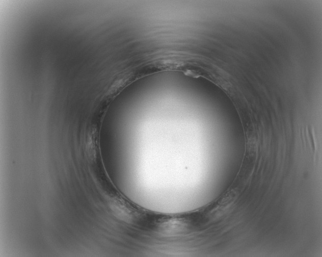 X0000066940460200604071917