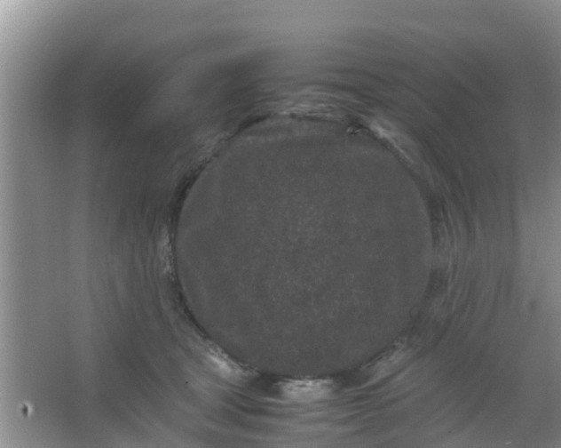 X0000066940465200604071917