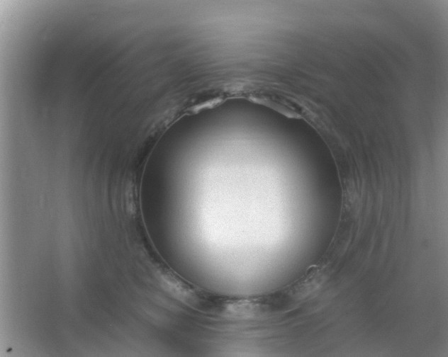 X0000066940470200604071917