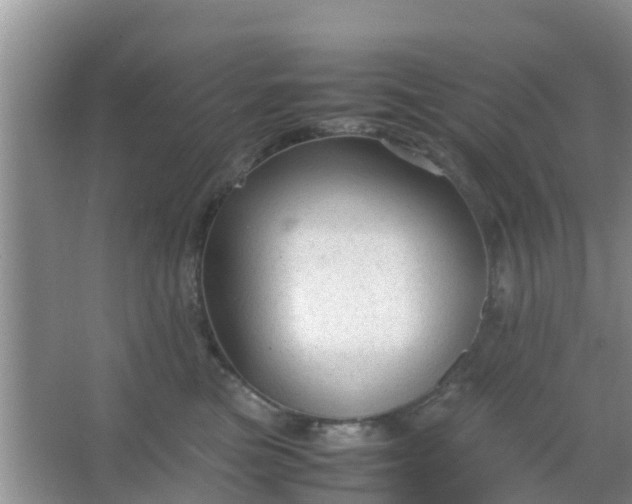 X0000066940473200604071917