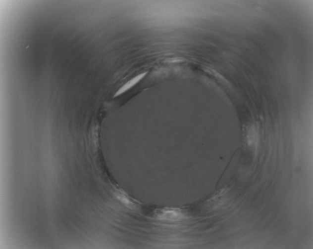 X0000066940475200604071917