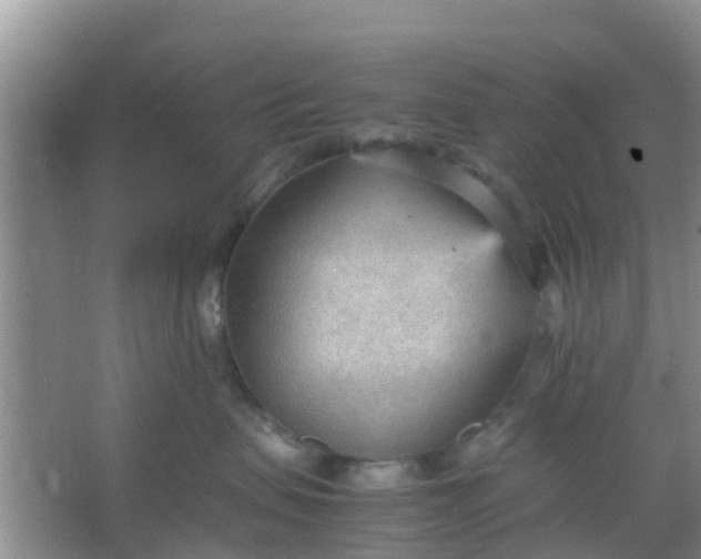 X0000066940479200604071917