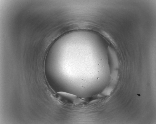 X0000066940481200604071916